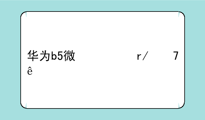 华为b5微信看不了