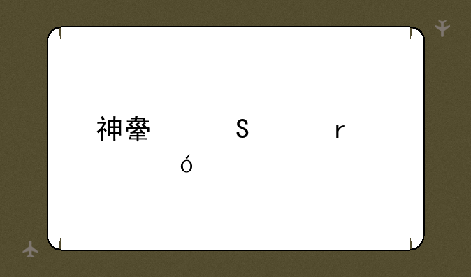 神舟笔记本价格表