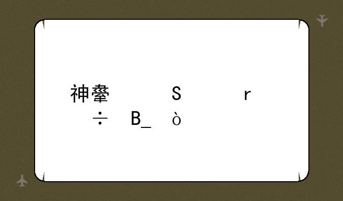 神舟笔记本好吗？
