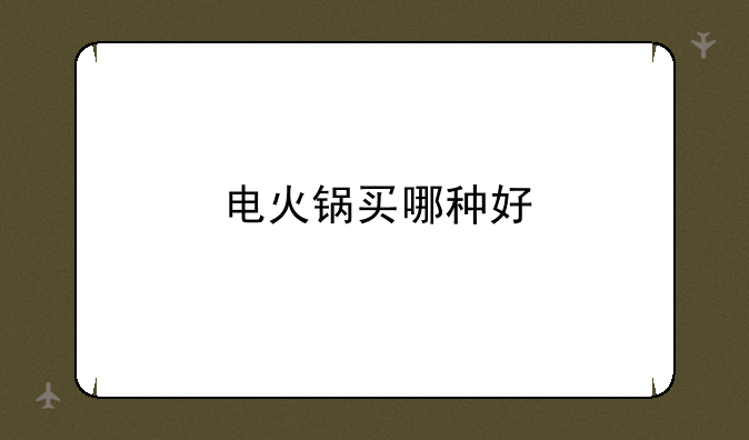电火锅买哪种好