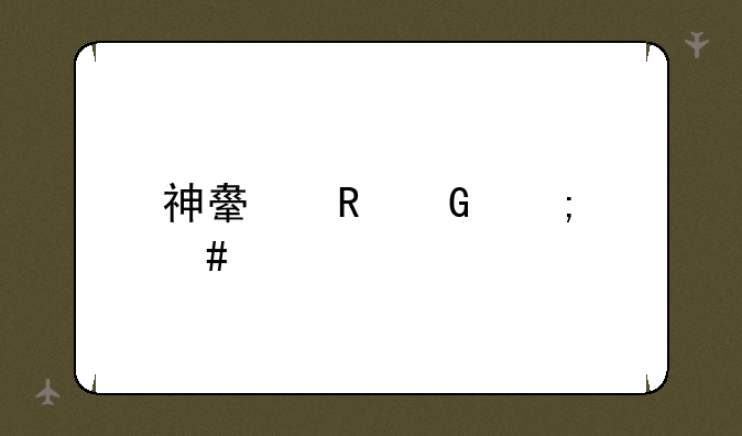 神舟电脑怎么样