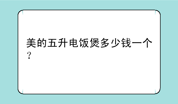美的五升电饭煲多少钱一个？
