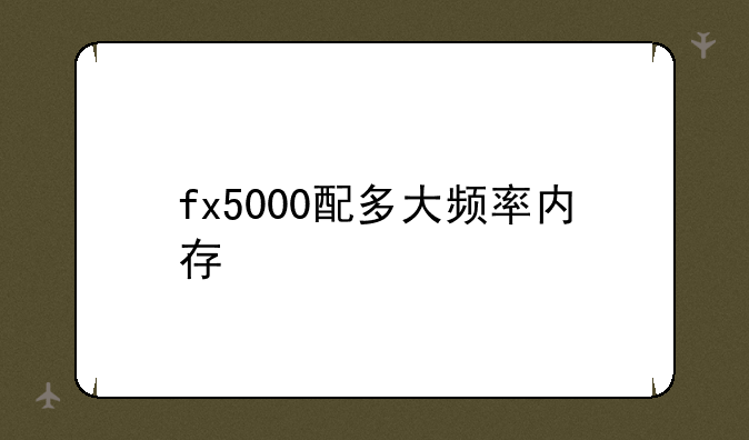 fx5000配多大频率内存