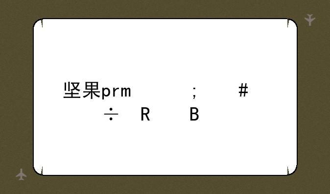 坚果pro怎么样好用吗
