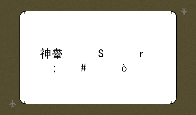 神舟笔记本怎么样？