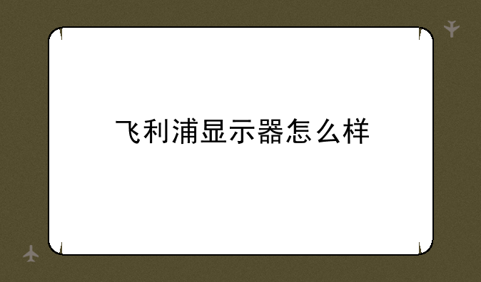 飞利浦显示器怎么样