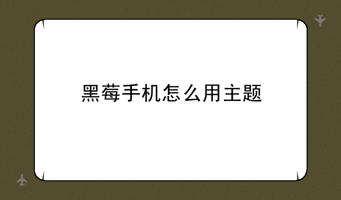 黑莓手机怎么用主题