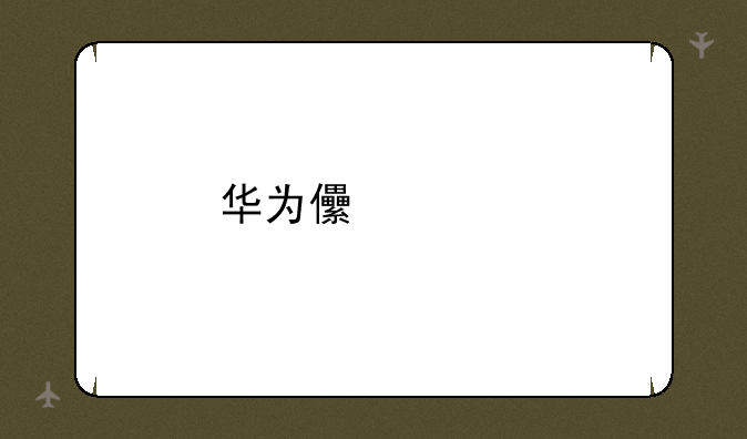 华为儿童手表4x新耀款