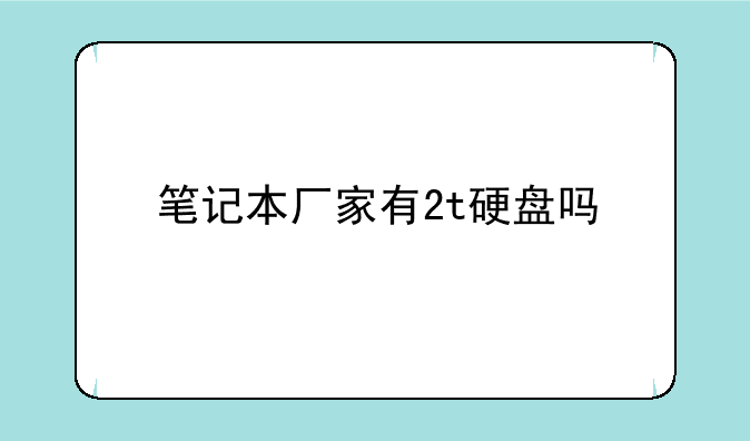 笔记本厂家有2t硬盘吗
