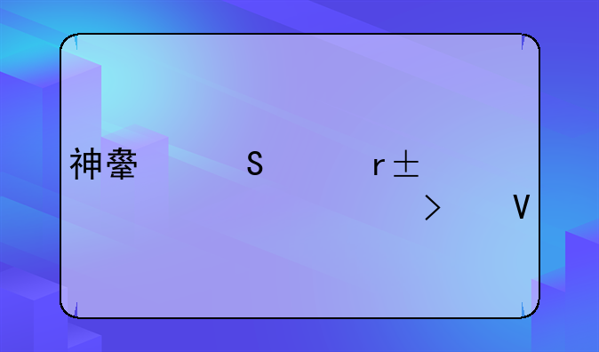 神舟笔记本hp540详细参数