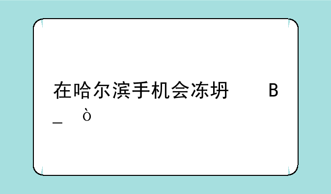 在哈尔滨手机会冻坏吗？