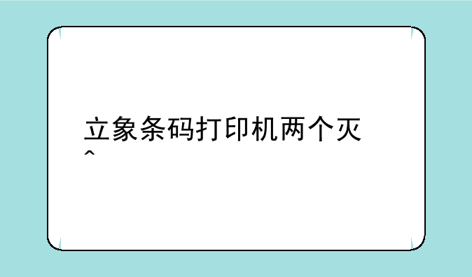立象条码打印机两个灯闪