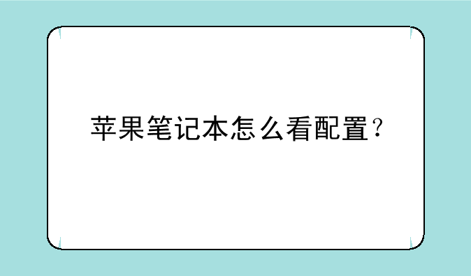 苹果笔记本怎么看配置？