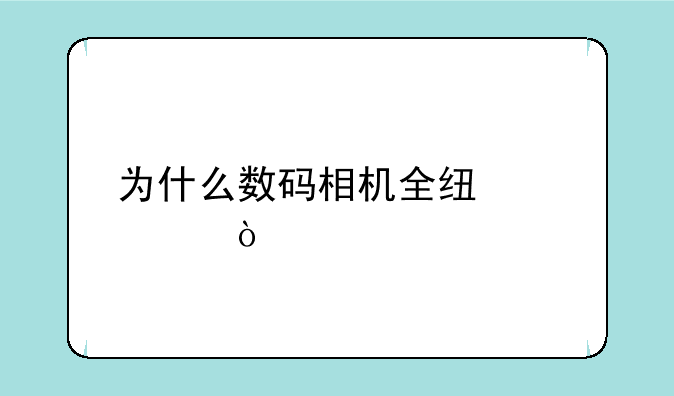 为什么数码相机全线涨价？