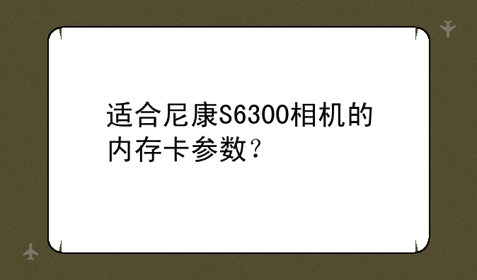 适合尼康S6300相机的内存卡参数？