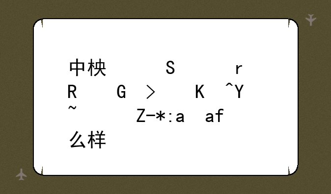 中柏笔记本电脑可以吗？质量怎么样？