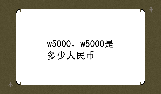 w5000，w5000是多少人民币