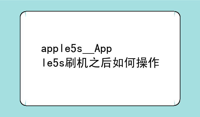 apple5s__Apple5s刷机之后如何操作