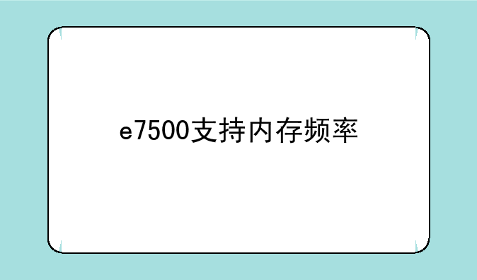 e7500支持内存频率