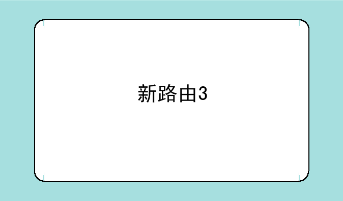 新路由3