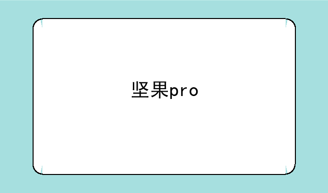 坚果pro