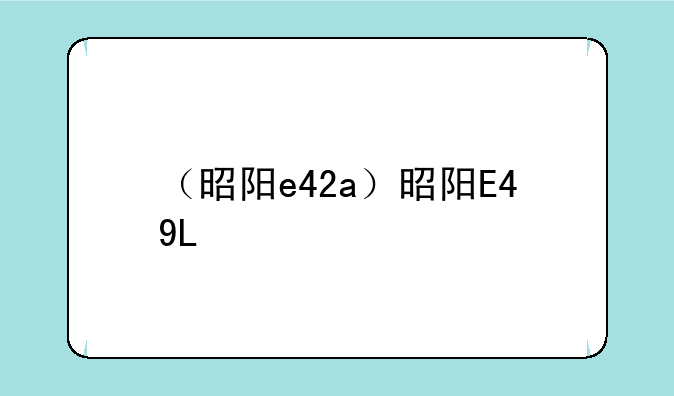 （昭阳e42a）昭阳E49L