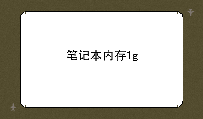 笔记本内存1g