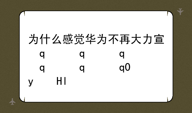 为什么感觉华为不再大力宣传5G了？