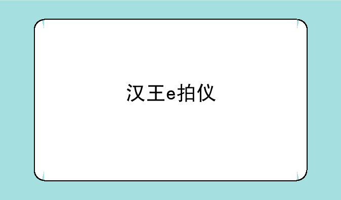 汉王e拍仪