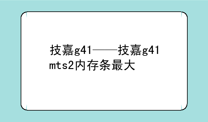 技嘉g41——技嘉g41mts2内存条最大