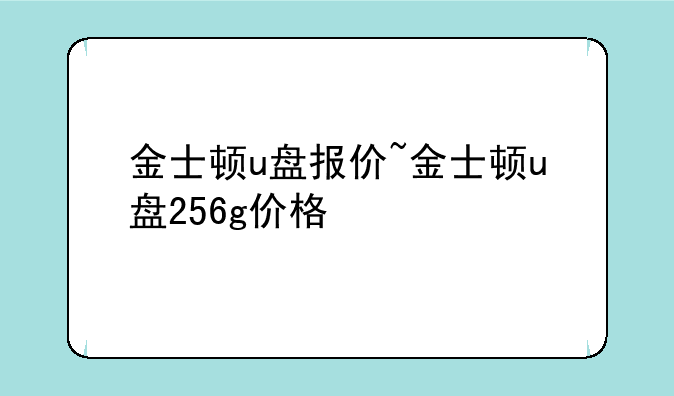 金士顿u盘报价~金士顿u盘256g价格